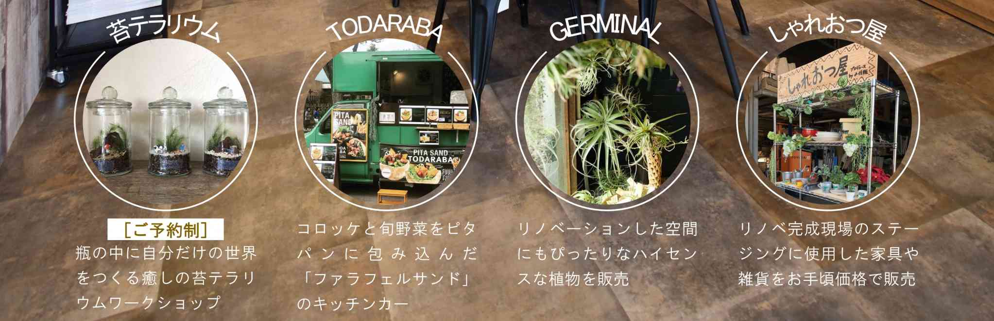 苔テラリウムのワークショップ、ファラフェルサンドのキッチンカー、観葉植物販売、アウトレット家具販売を開催